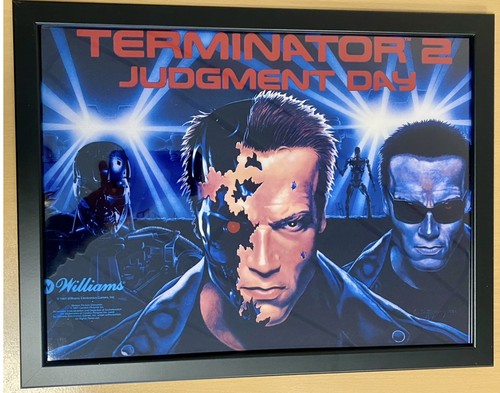 Terminator pinball flipper - 2,