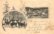 Zella St Blasii Panorama Wild