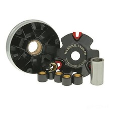 Variomatik NARAKU Sport GY6 50CCM 4T für Rex RS 450 50 4T Bj. 2006-2017