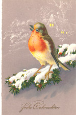 Künstler-AK  Weihnachten -  Vogel -  Rotkehlchen (vlnr) - Verlag HWB 3223