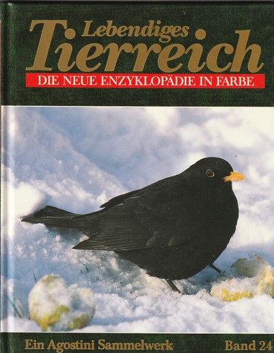 Lebendiges tierreich - 📚,