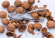 robuster Nussknacker a. Metall