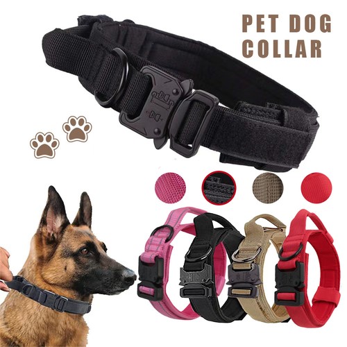 Nylon hundehalsband - hundehalsband, k9
