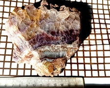 Amethyst freie XX SCHLOTTWITZ