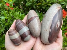 2" 3" 4"& 6" Shiva Lingam