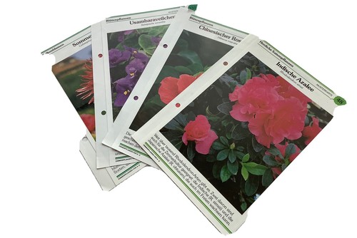 Sammelkarten zimmerpflanzen - 4,