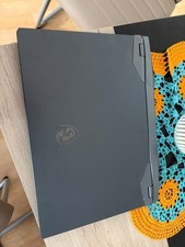 MSI GE66 Raider Gaming Laptop / Nur Abholung