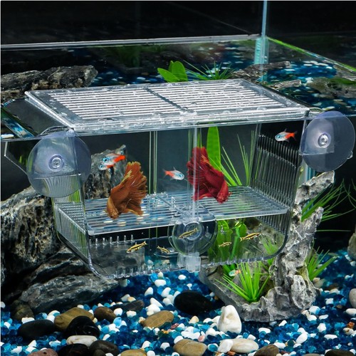 Aquarium fischbrutkasten - aquarium,