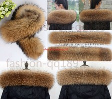 Natur Waschbär Kragen