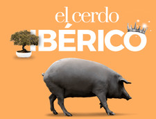 Serranoschinken, ohne Knochen