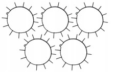 Rasen Aerator Für Gartenwalze Walze Rasenlüfter Arefizierer 12 Spikes 5-tlg 30cm