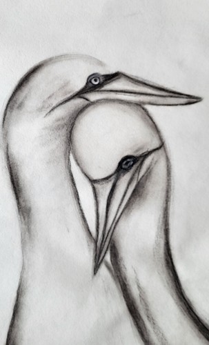 Original zeichnung vögel - zeichnung, 2
