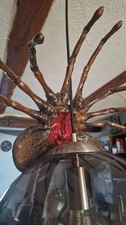 Facehugger lamp lifesize - ,