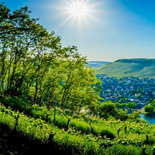 Natururlaub vulkaneifel - natururlaub, |
