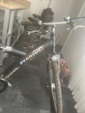 Pegasus fahrrad - pegasus,