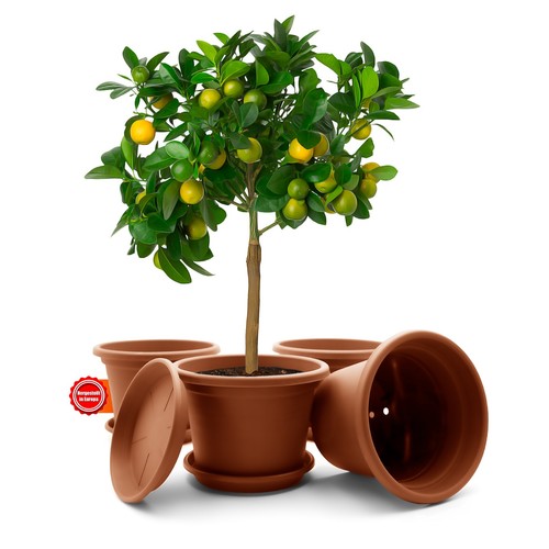 Stück blumentopf mit - blumentopf,