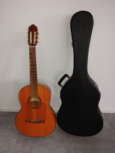 Flamenco gitarre von - von, felix