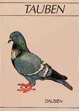Tauben