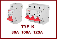 LS-Schalter Leitungsschutzschalter Sicherungsautomat Typ K  1P 3P 80A 100A 125A
