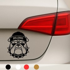 2x Bulldog Bulldogs Hund Dog