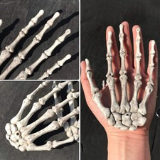 Riesige Lebensgröße