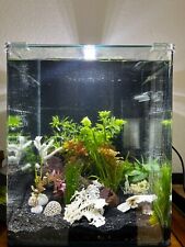 Dennerle Nano Cube Complete 30 L - Komplettset gebraucht mit Bewohnern/Pflanzen