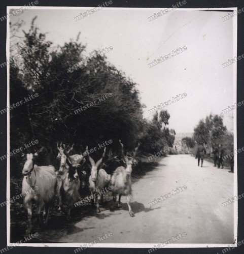 Agrigento-dintorni-Sizilien-Lu