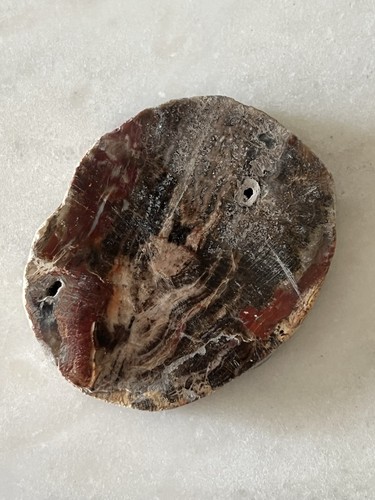 Versteinertes holz 75g fossil - versteinertes,