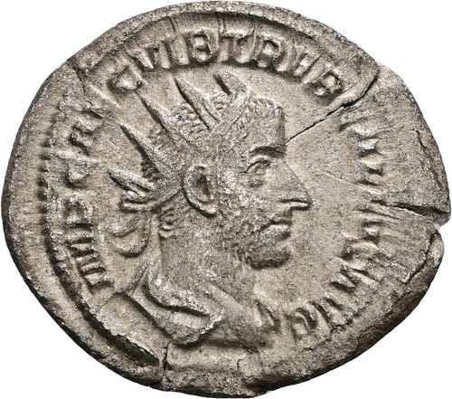 Rom trebonianus gallus - trebonianus,