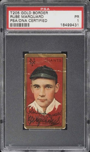 T205 gold border polar - border, bear