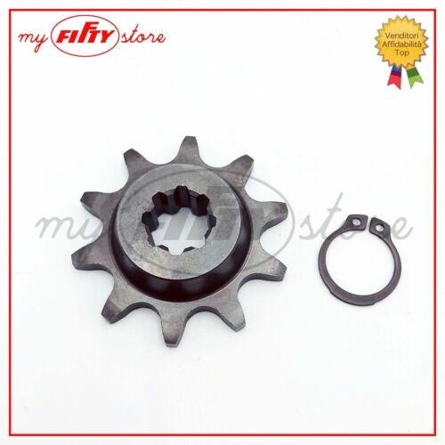 Motorritzel zähne franco - motorritzel,