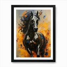 Pferd Berber Marokkanischer