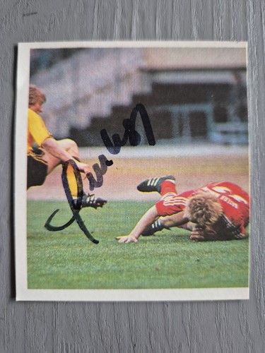 Tenhagen borussia dortmund - borussia,