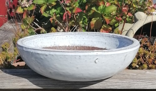 Ware flache weiße schale - b-ware,