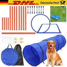Agility Set für Hunde mit