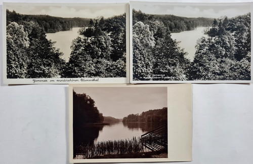 Postkarten lot gamensee im - lot,