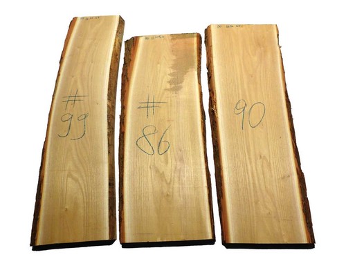 Akazienholz robinie holz - 1x,