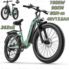 Elektrofahrrad 1000W E-Bike