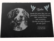 Tier Grabstein Gedenkstein