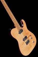 Harley Benton Fusion-T HH