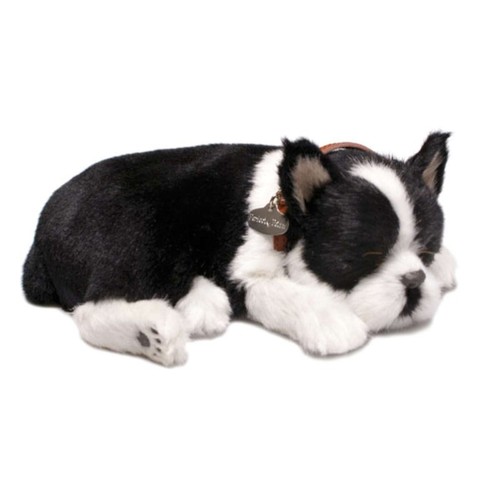 Perfect petzzz 96514 boston - perfect,