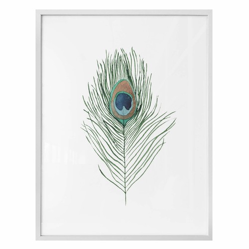 Poster pfauenauge wanddeko - poster,