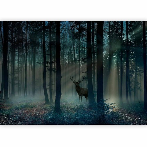 Wald landschaft vlies - landschaft,