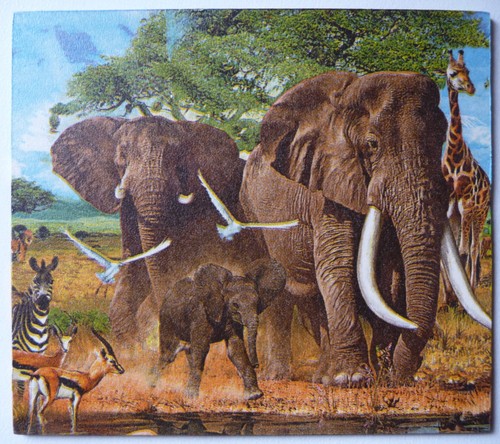 Deko hdf tiere natur afrika - hdf,