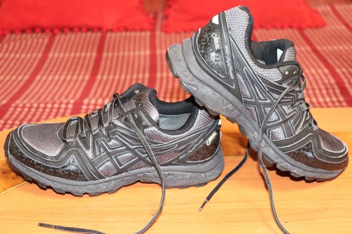 Asics gel fuji freeze gtx - fuji,