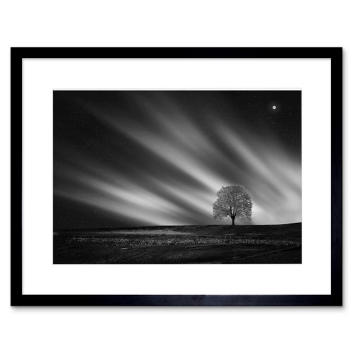 Einsamer baum landschaft - baum,