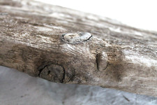 Schwemmholz Treibholz XXL