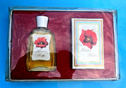 Roter mohn älteres - roter,