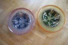 WMF Ikora 2 Stück, ein Preis