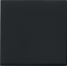 Gira 0296005 Wippe, System 55, schwarz matt